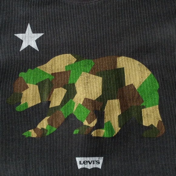 Levi's Men’s XL Oversize Cali Bear Graphic Tee - Picture 3 of 4